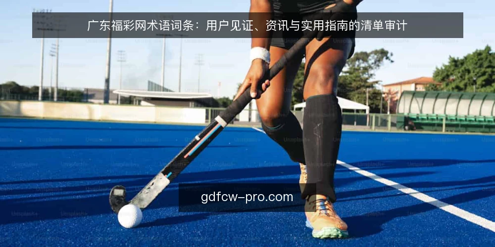 广东福彩网术语词条：用户见证、资讯与实用指南的清单审计 — 为何现在要做术语审计 配图