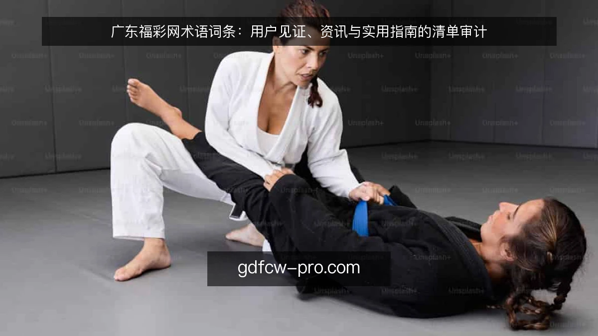广东福彩网术语词条：用户见证、资讯与实用指南的清单审计